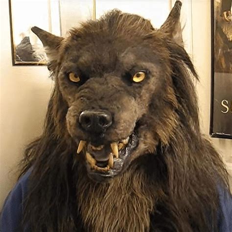 wolfman costume accessories|realistic wolf costumes.